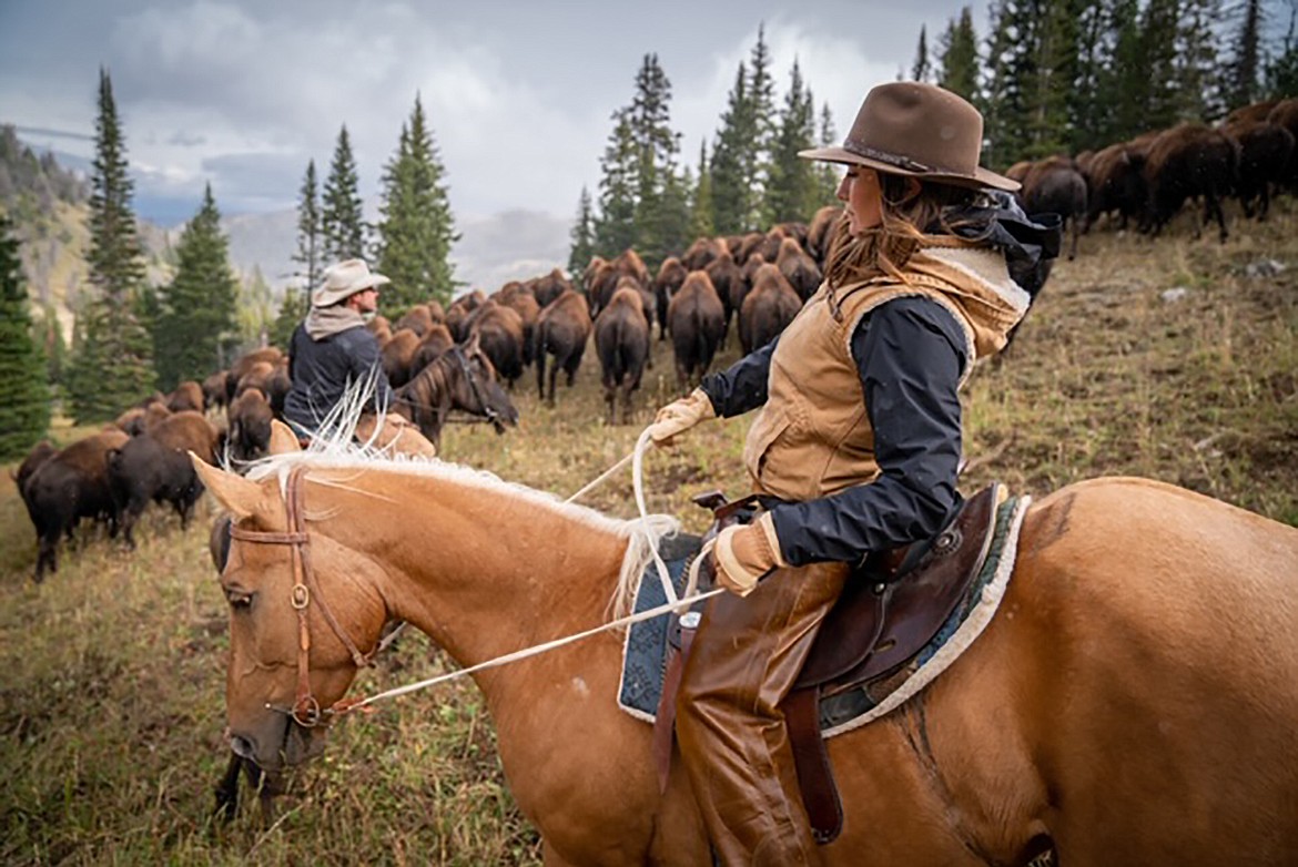 couple-realizes-longtime-dream-of-running-bison-ranch-daily-inter-lake